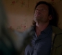 SPN_1451.jpg