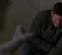 SPN_1464.jpg