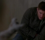 SPN_1465.jpg