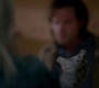 SPN_1466.jpg