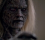 SPN_1473.jpg