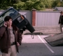 SPN_0143.jpg
