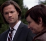 SPN_0218.jpg