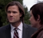 SPN_0229.jpg