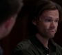 SPN_0510.jpg