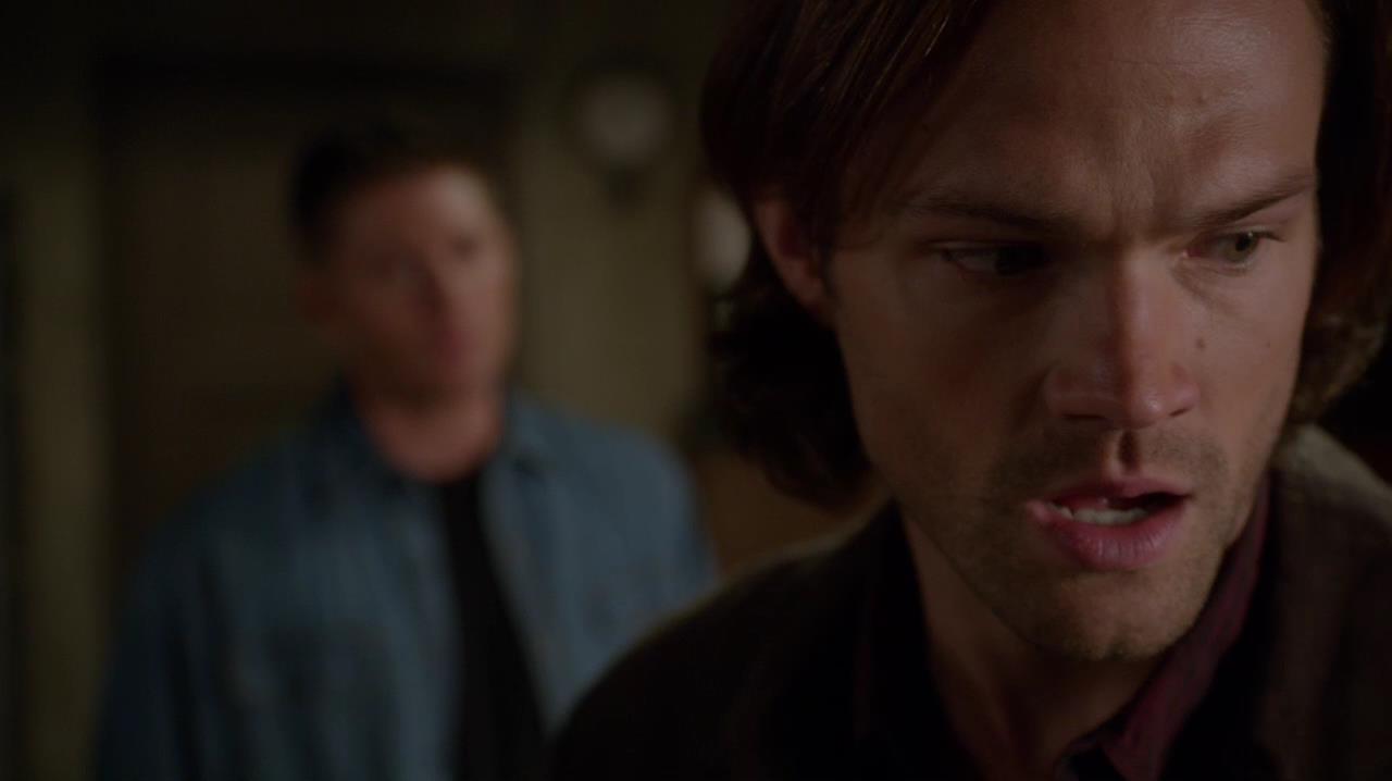 SPN_1363.jpg