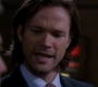 SPN_0174.jpg