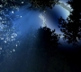SPN_0624.jpg