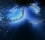 SPN_0638.jpg