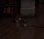 SPN_0161.jpg