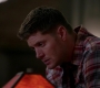 SPN_0168.jpg