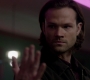 SPN_0499.jpg