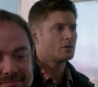 SPN_0567.jpg
