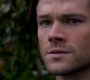 SPN_0737.jpg