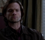 SPN_0783.jpg