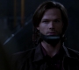 SPN_0916.jpg