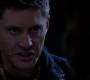 SPN_0928.jpg