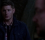 SPN_1135.jpg