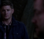 SPN_1138.jpg