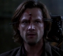 SPN_1146.jpg