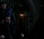 SPN_1226.jpg