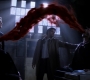 SPN_1247.jpg