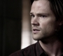 SPN_1295.jpg