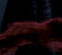 SPN_1463.jpg