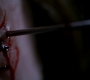 SPN_1472.jpg