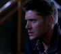 SPN_1477.jpg