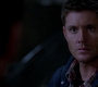 SPN_1510.jpg