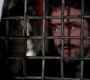 SPN_0294.jpg