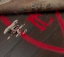 SPN_0532.jpg