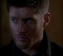 SPN_1364.jpg