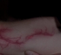 SPN_1512.jpg
