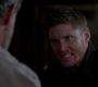 SPN_1514.jpg