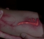 SPN_1518.jpg