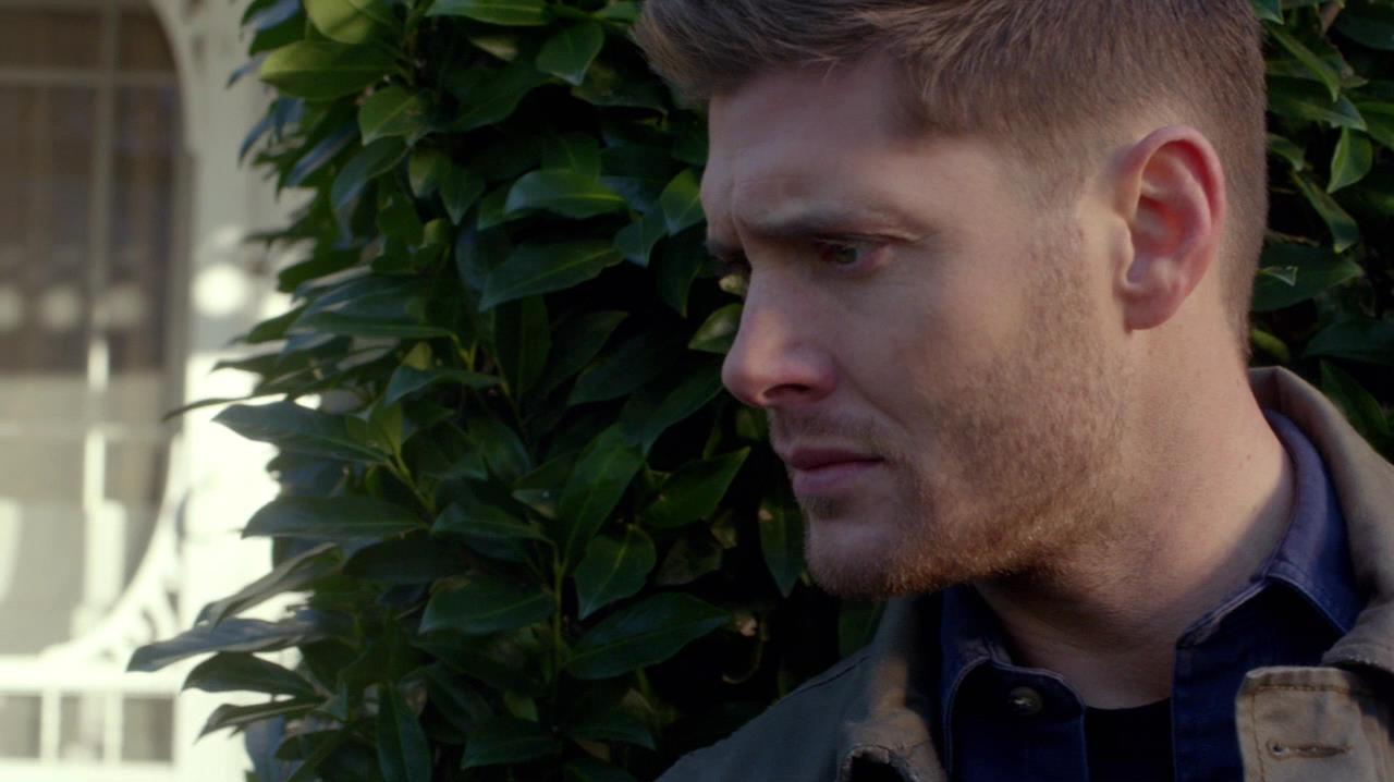 SPN_0520.jpg