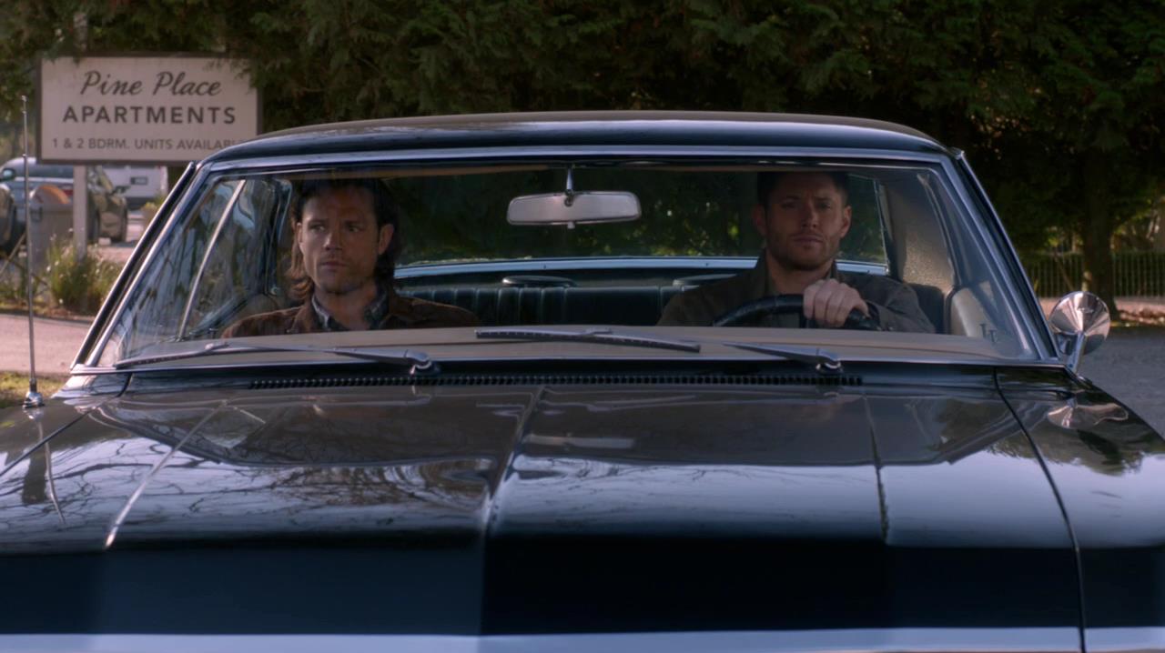 SPN_1449.jpg