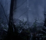 SPN_0014.jpg