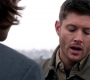 SPN_0323.jpg