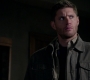 SPN_0401.jpg