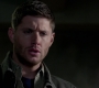 SPN_0412.jpg