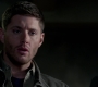 SPN_0446.jpg