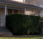 SPN_0516.jpg