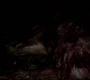 SPN_0849.jpg