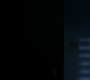 SPN_0961.jpg