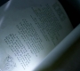 SPN_0975.jpg