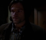 SPN_0981.jpg
