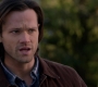 SPN_1532.jpg